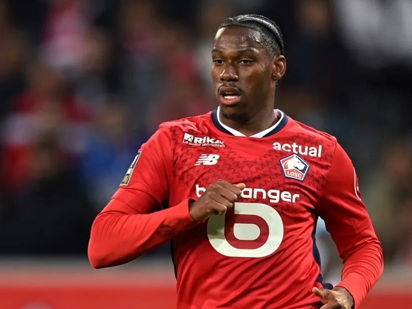 职业生涯 职业生涯