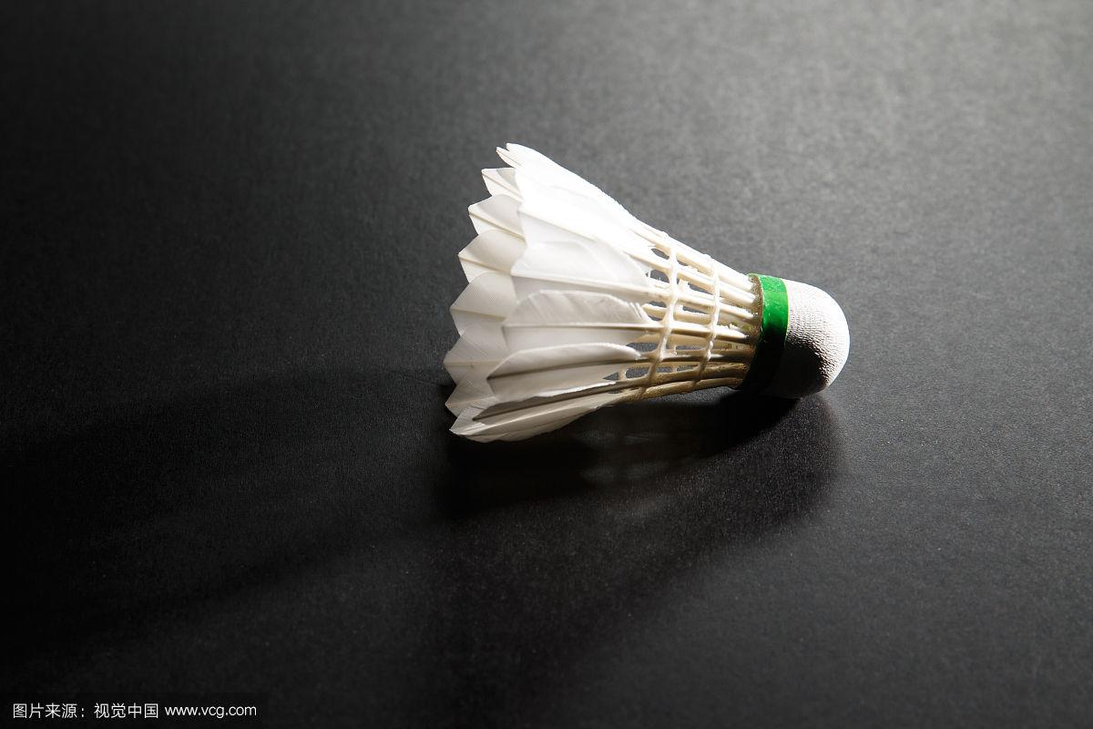 从教士到勇 从教士到勇